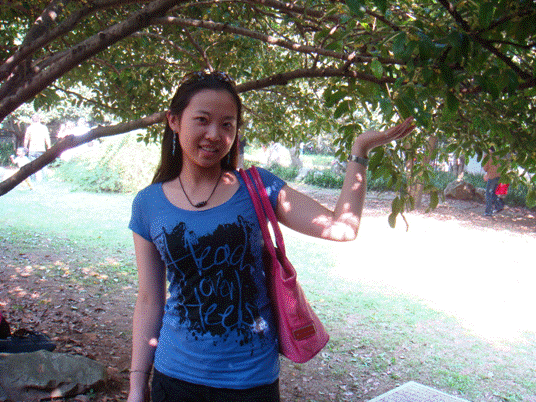 d9fa1cf7b84739348c8f49c05bc9a328.png