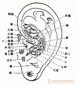 99c3c735061dde45c6c438a1e2e1362c.jpg